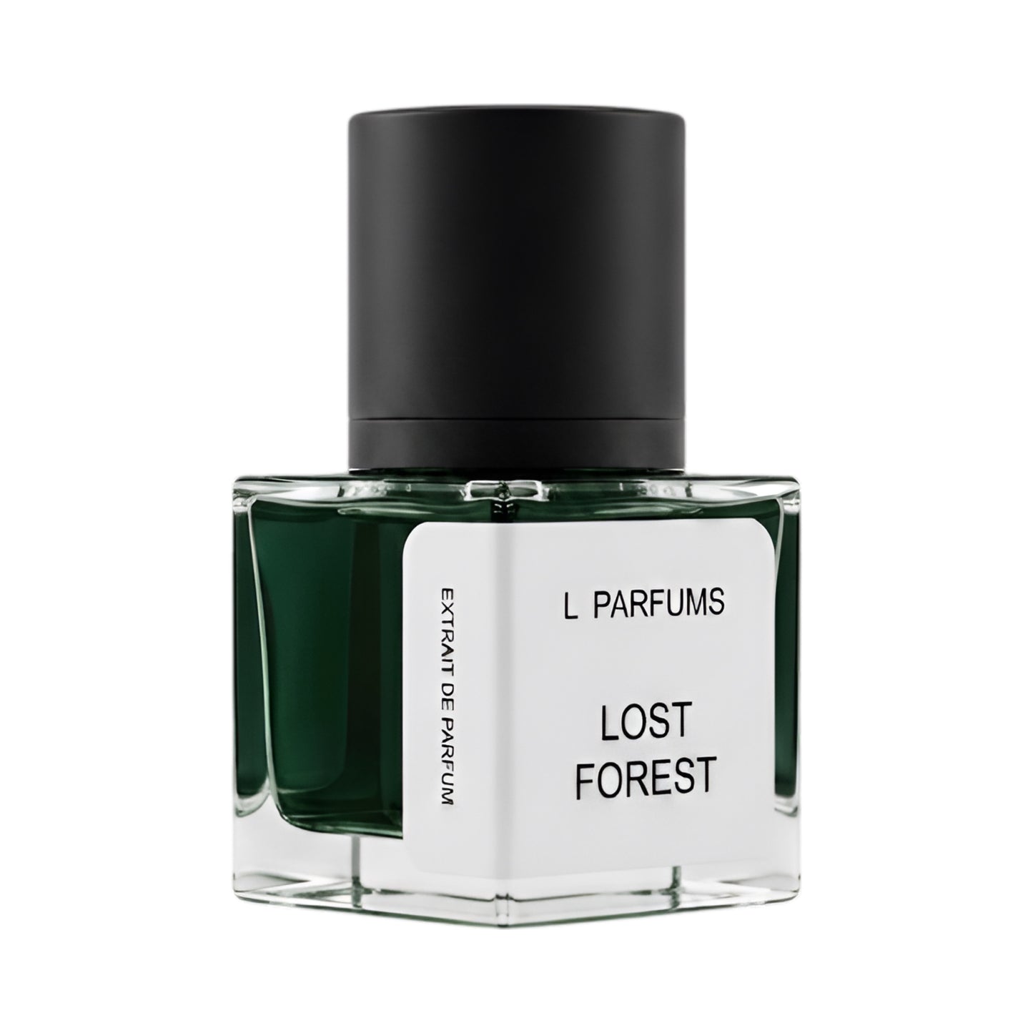 LOST FOREST